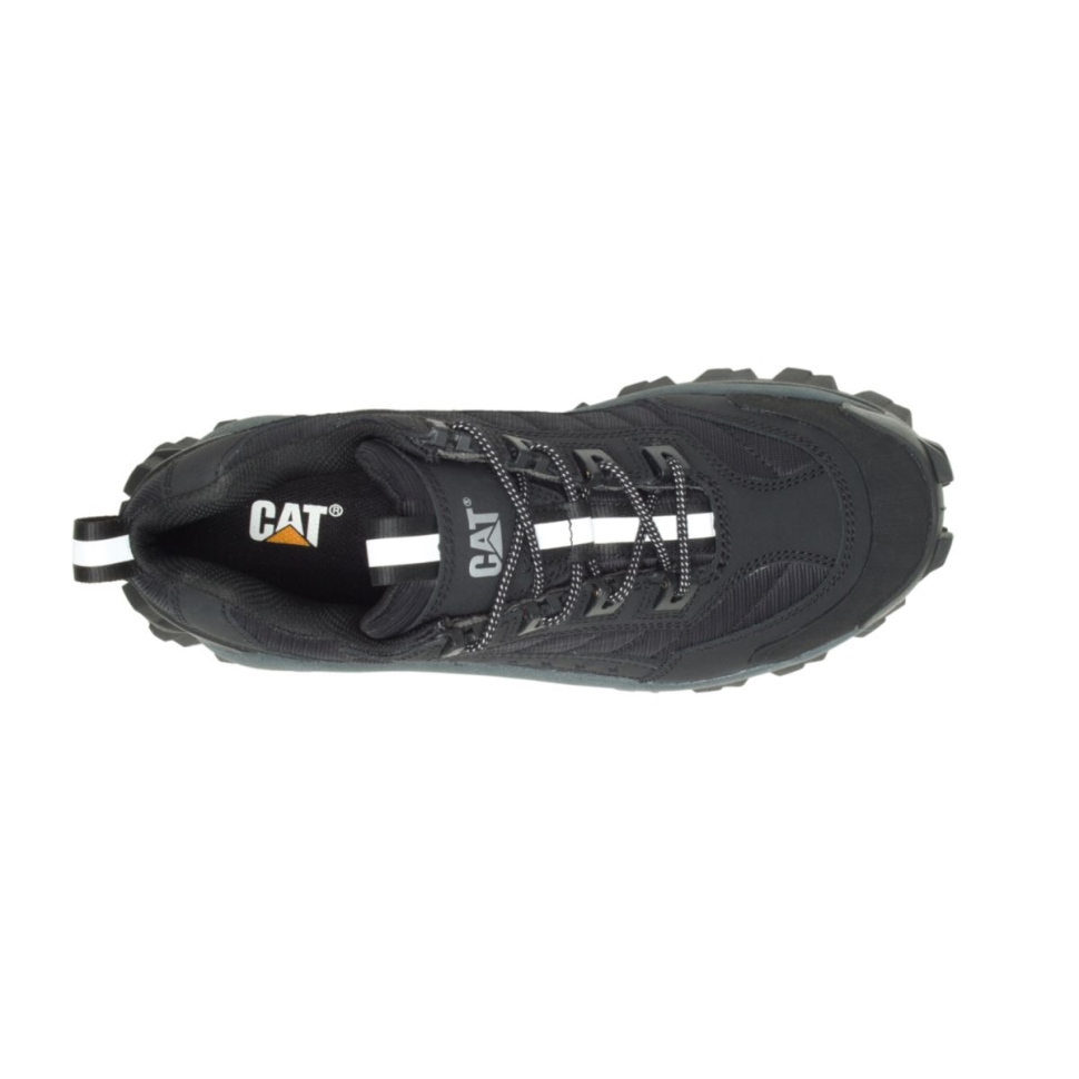 Black-dark Shadow Intrus Chaussure Chat Chaussures