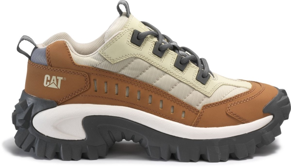 Cajou Intrus Chaussure Chat Chaussures