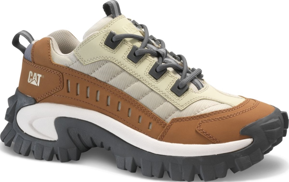 Cajou Intrus Chaussure Chat Chaussures