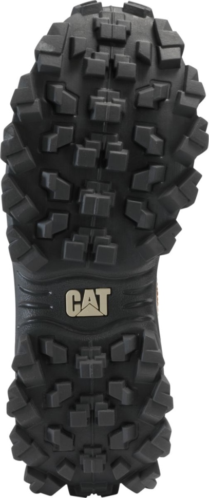 Cajou Intrus Chaussure Chat Chaussures