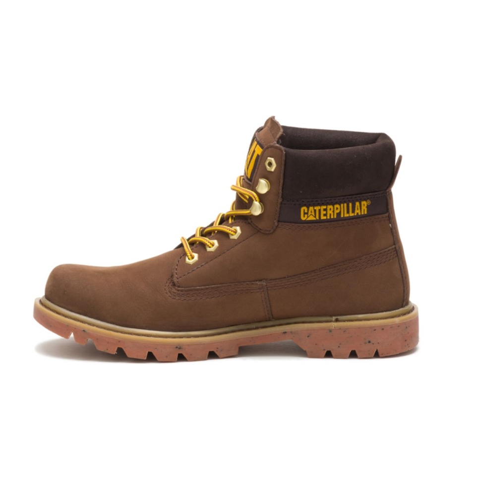 Chat Chaussures Ecolorado Botte Loutre