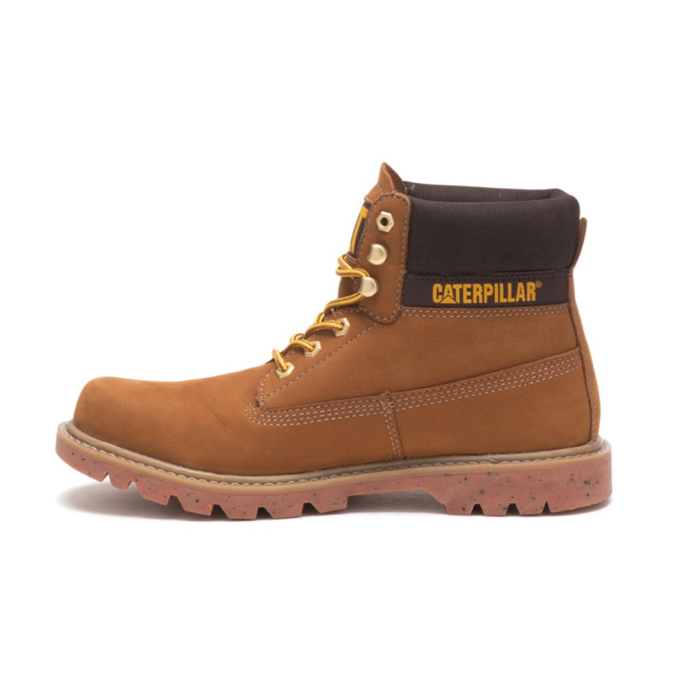 Chat Chaussures Ecolorado Botte Taffy