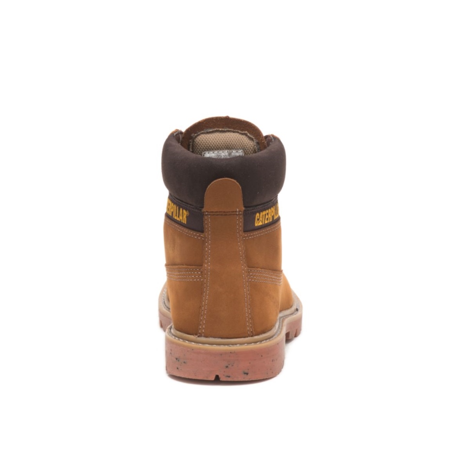 Chat Chaussures Ecolorado Botte Taffy