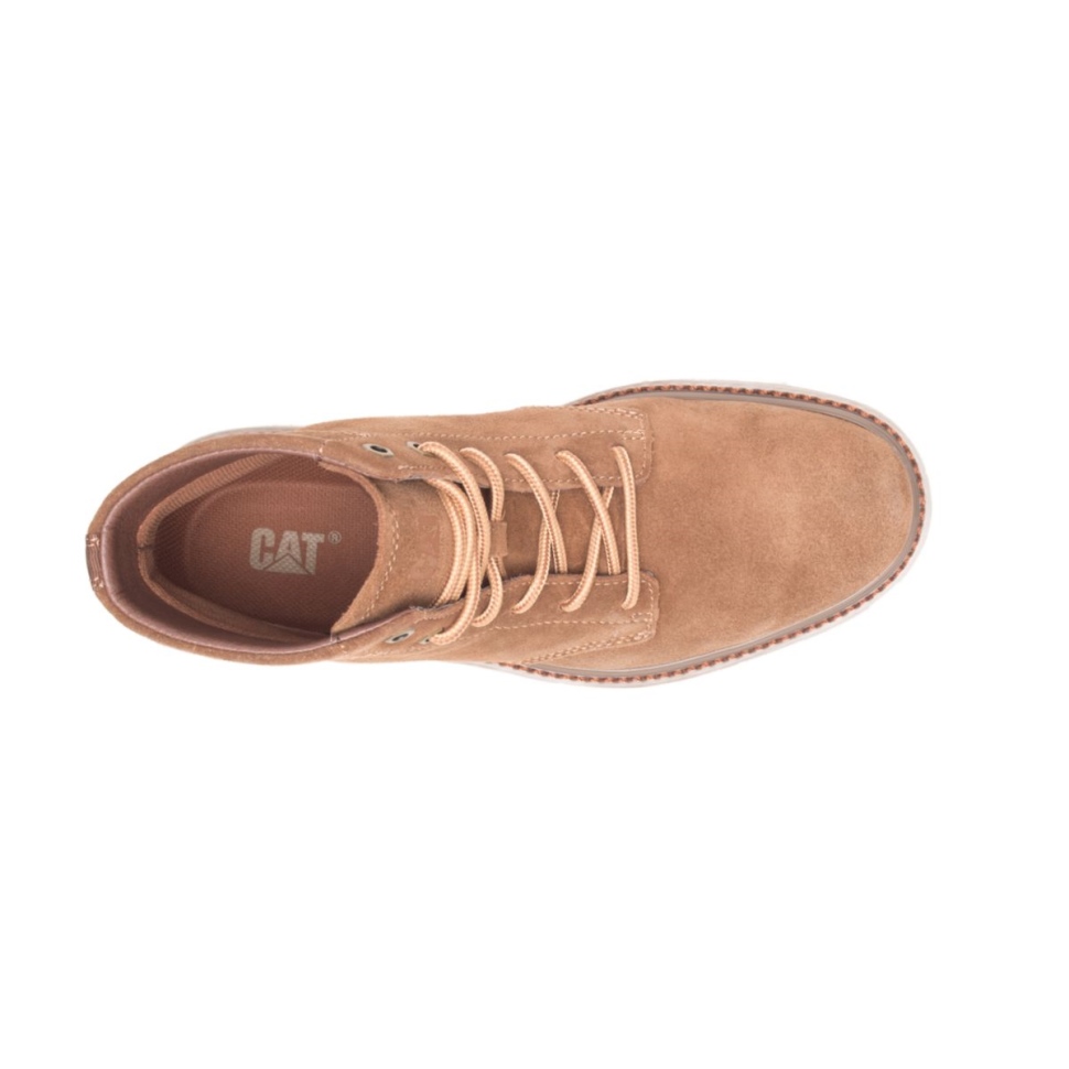 Chat Chaussures Hommes Narrate Botte Teckel
