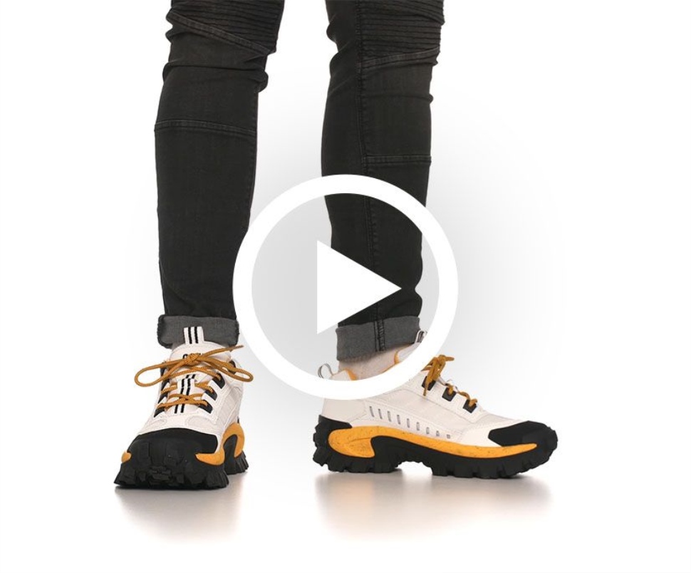 Chat Chaussures Intrus Chaussure Blanc-jaune