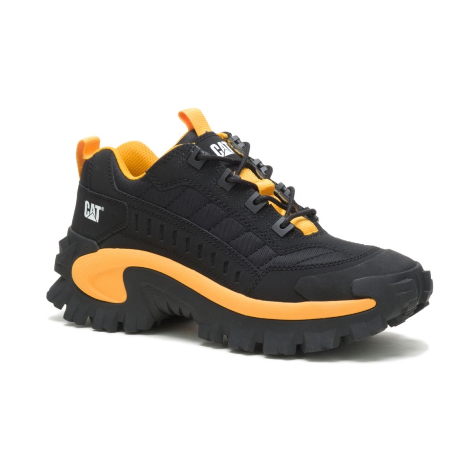 Chat Chaussures Intrus Chaussure Chat Noir Jaune