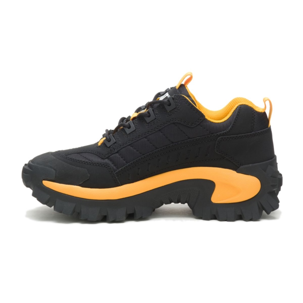 Chat Chaussures Intrus Chaussure Chat Noir Jaune