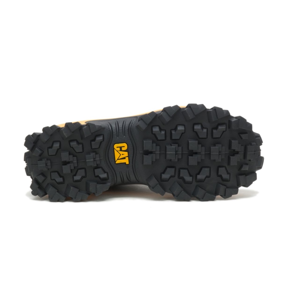 Chat Chaussures Intrus Chaussure Chat Noir Jaune