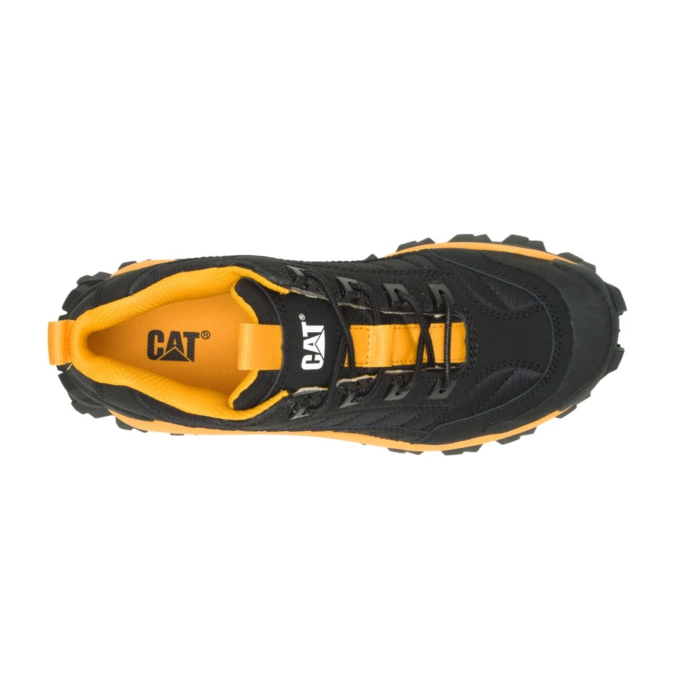 Chat Chaussures Intrus Chaussure Chat Noir Jaune