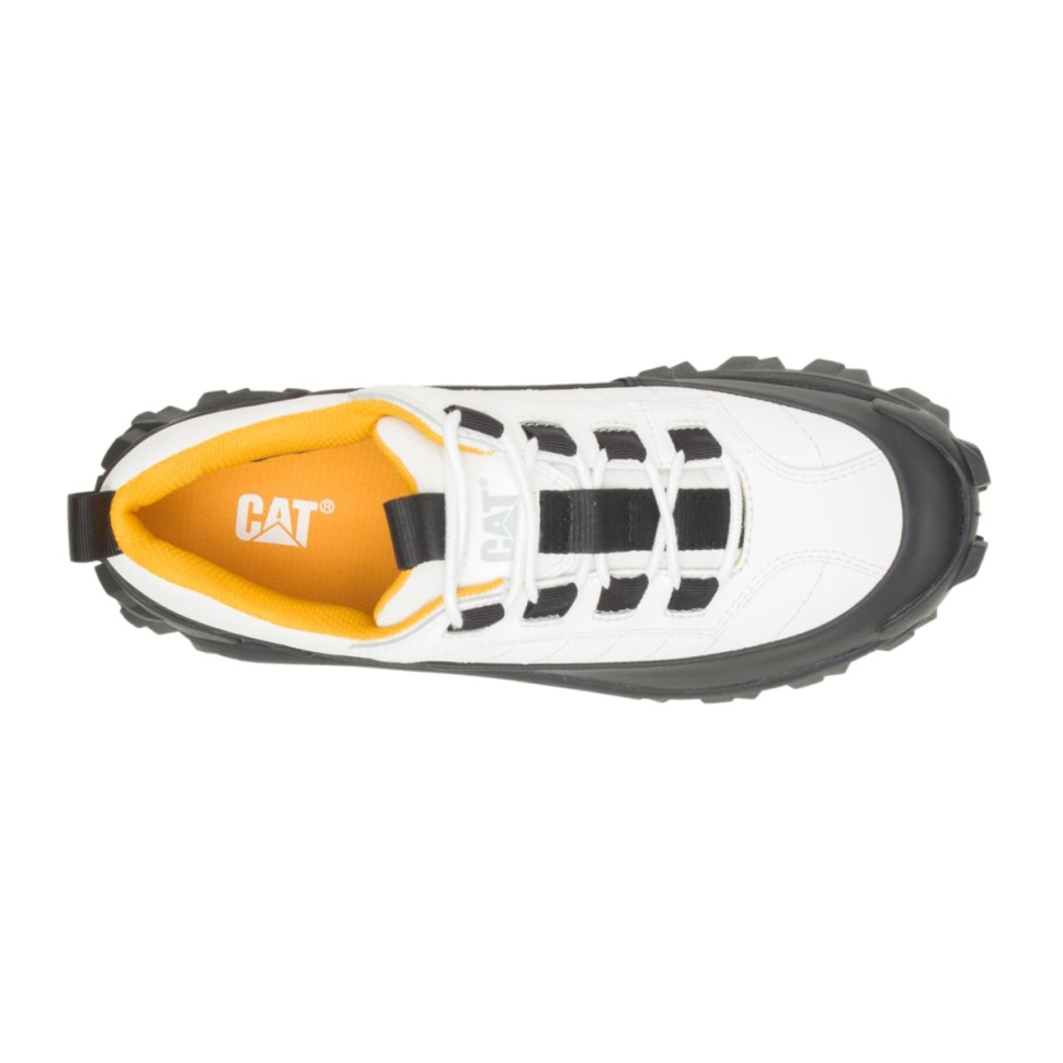 Chat Chaussures Intrus étanche Galosh Lumineux Blanc