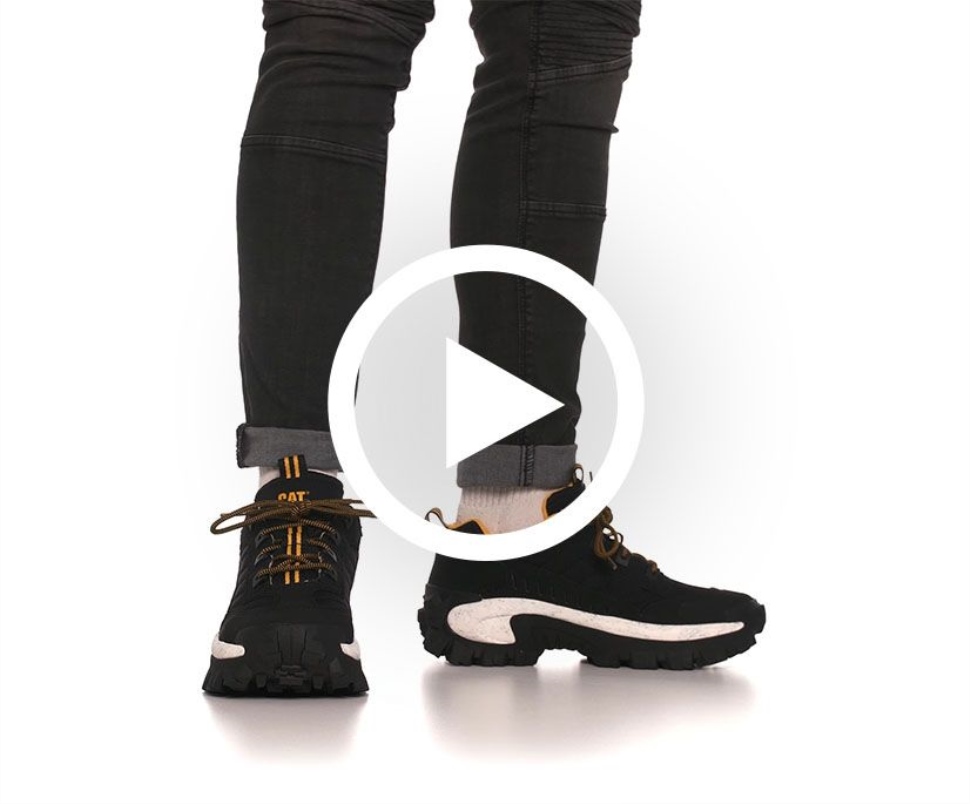 Chat Chaussures Noir-blanc Intrus Chaussure