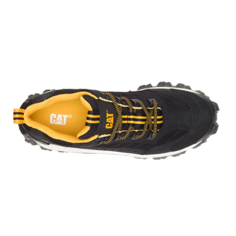 Chat Chaussures Noir-blanc Intrus Chaussure