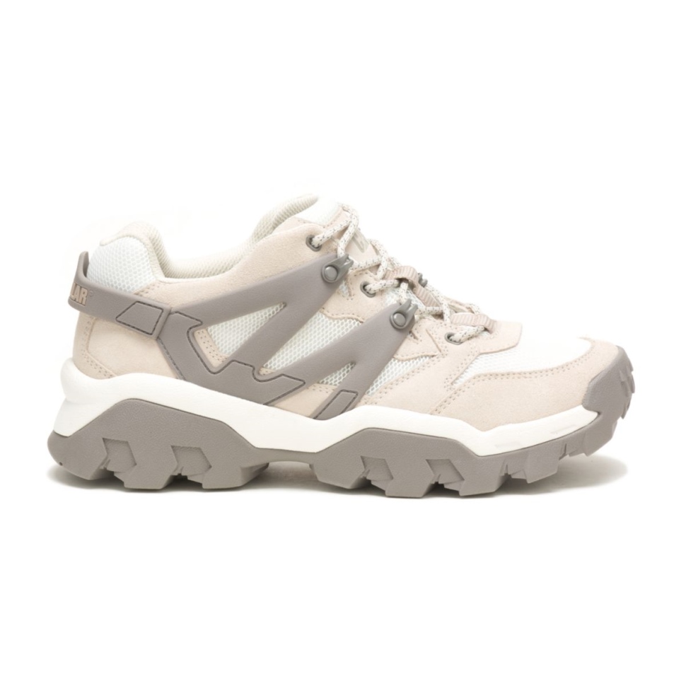 Bouleau Blanc Brillant