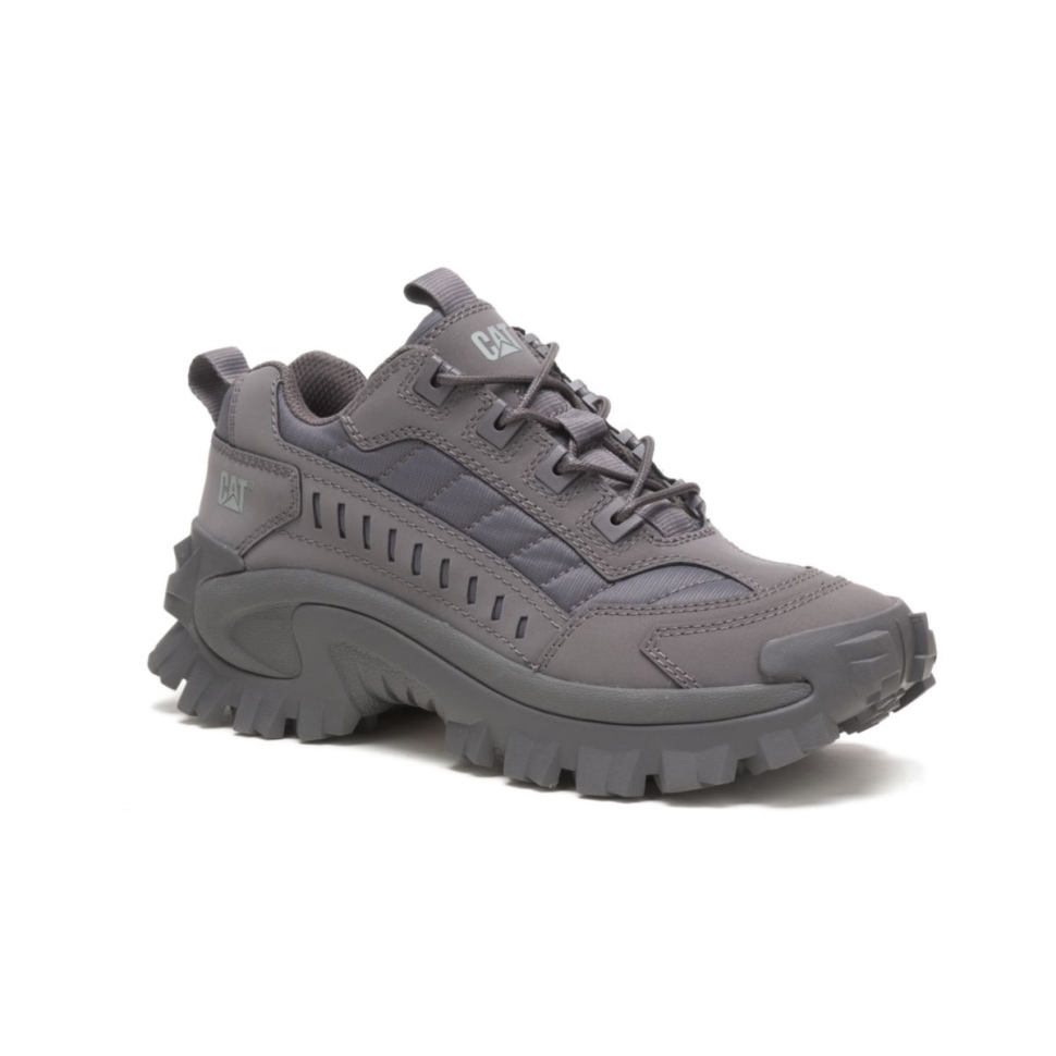 Chat Chaussures Trottoir Intrus Chaussure