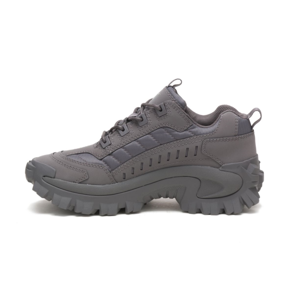 Chat Chaussures Trottoir Intrus Chaussure
