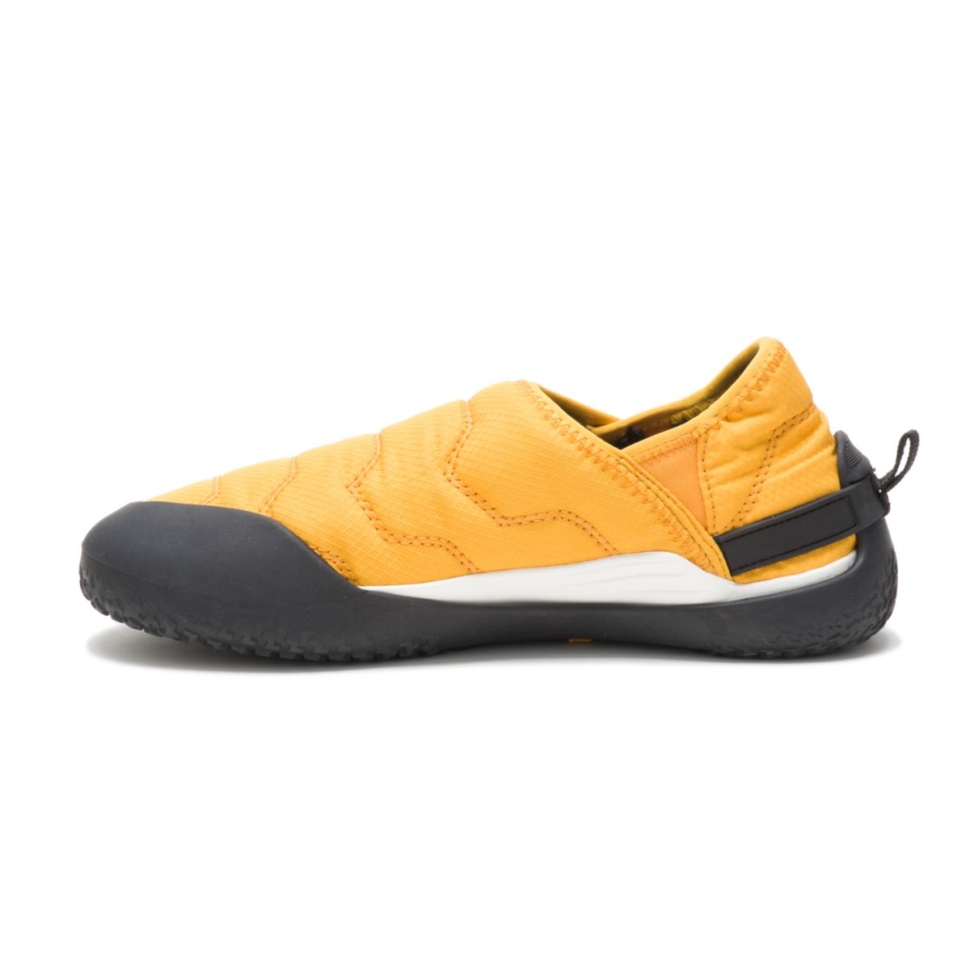 Chat Jaune Crossover Slip Sur Chat Chaussures