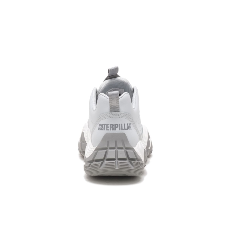 Chaussure De Chat Gris Glacier Vapor Storm Sneaker