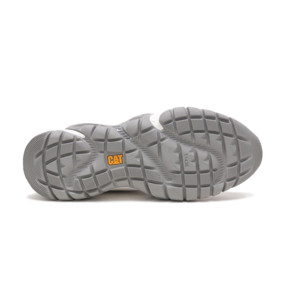 Chaussure De Chat Gris Glacier Vapor Storm Sneaker