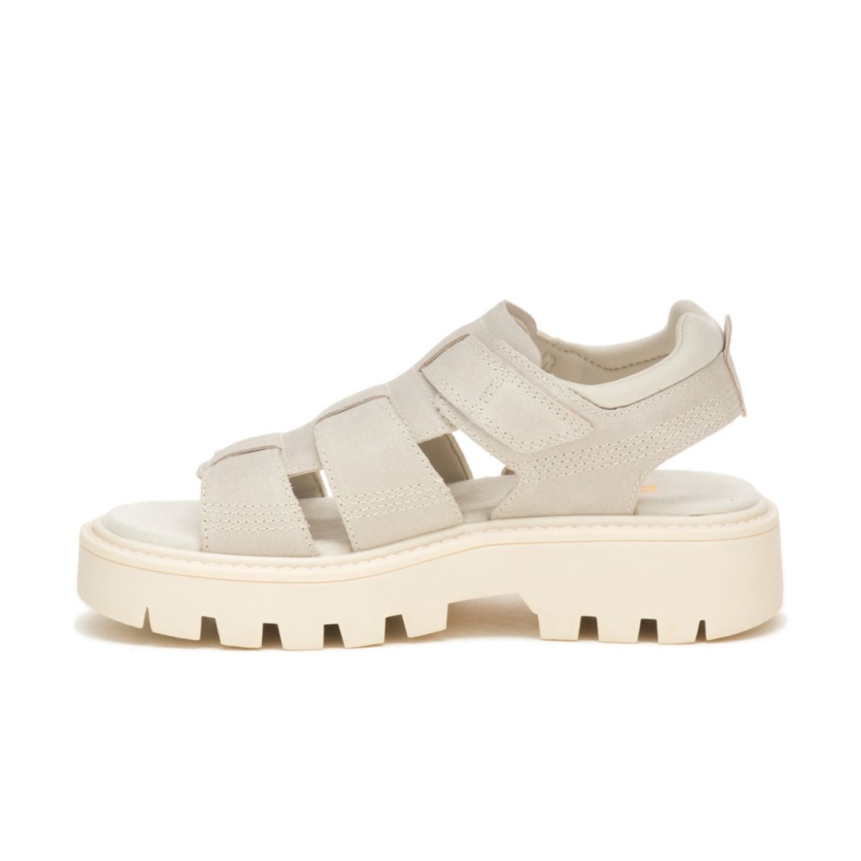 Chaussures De Chat Avoine Rigor Sandale