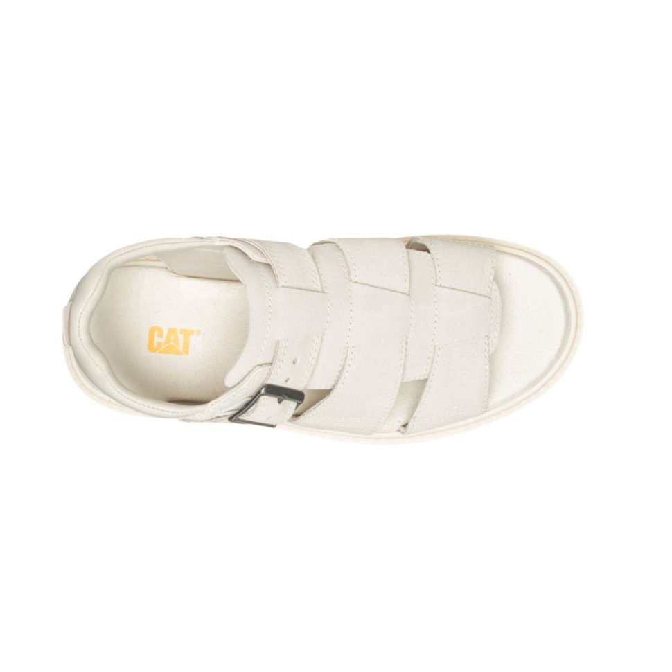 Chaussures De Chat Avoine Rigor Sandale