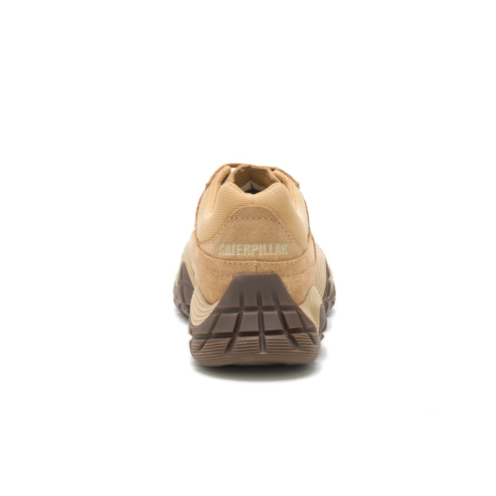 Chaussures De Chat Baskets à Vapeur De Curry