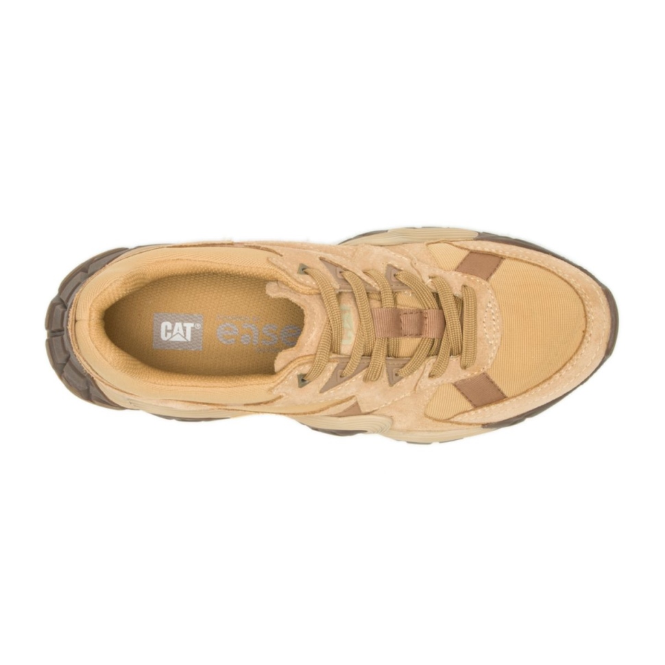 Chaussures De Chat Baskets à Vapeur De Curry