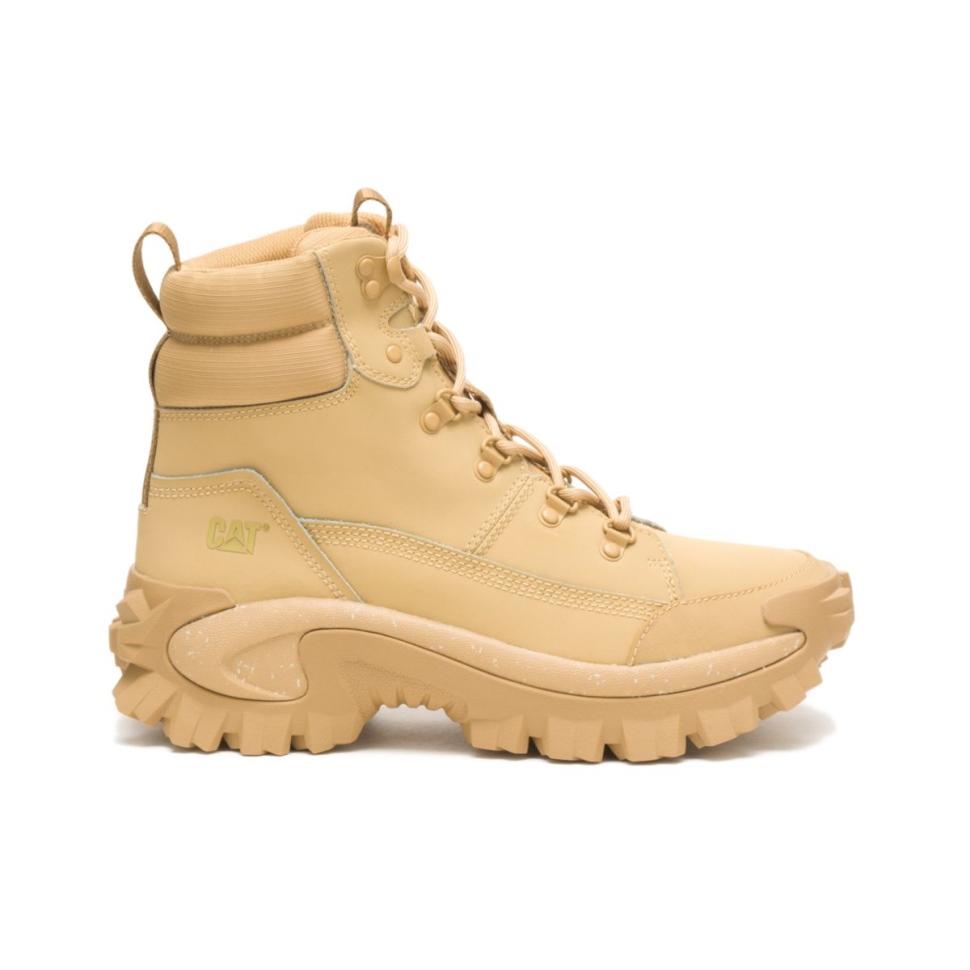 Chaussures De Chat Botte Curry Trespass