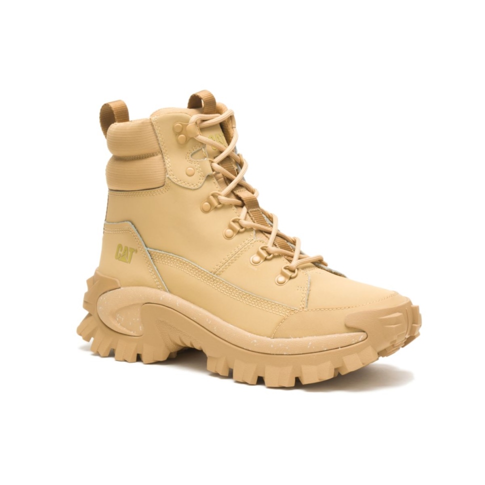 Chaussures De Chat Botte Curry Trespass