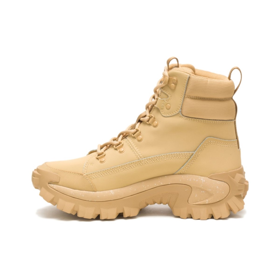 Chaussures De Chat Botte Curry Trespass