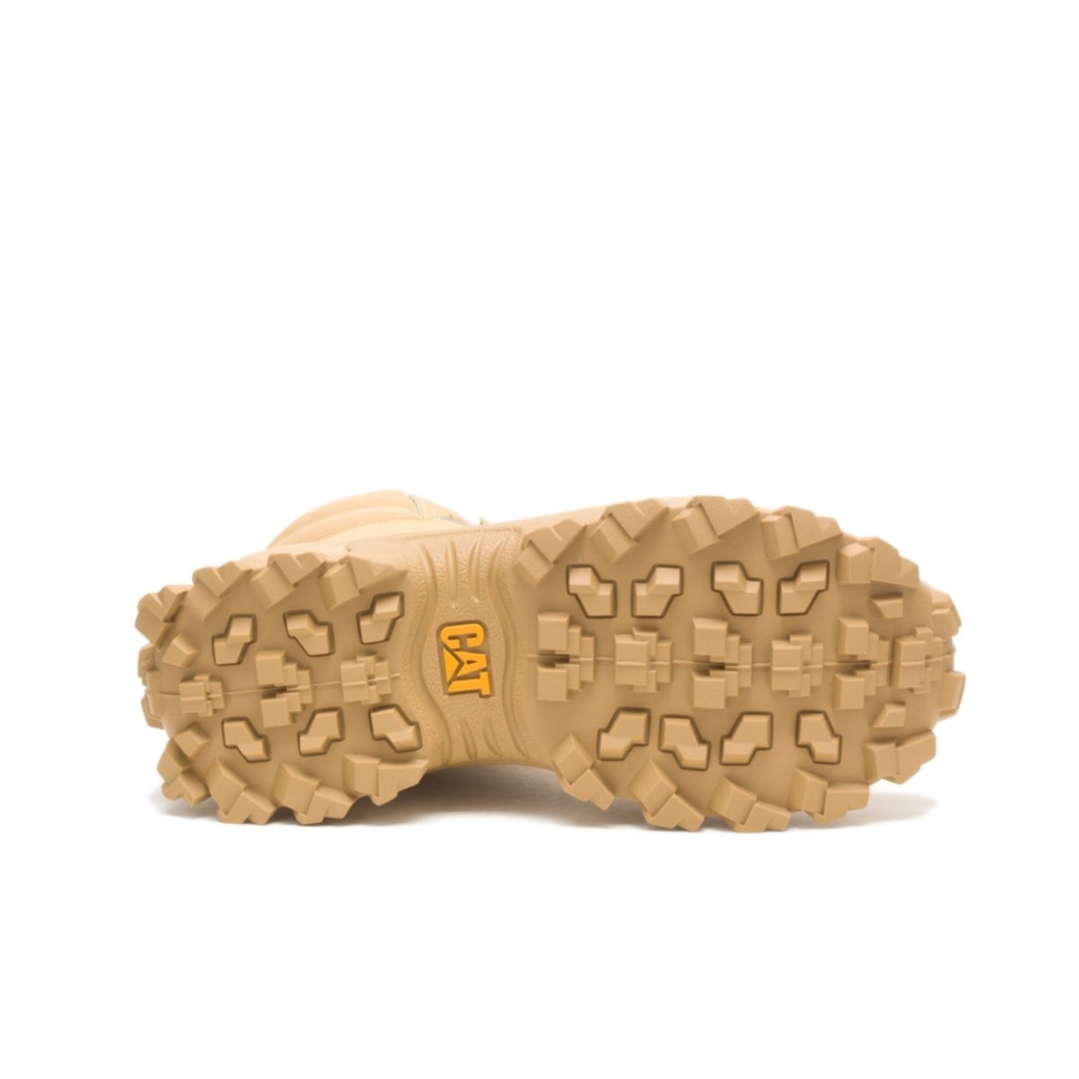 Chaussures De Chat Botte Curry Trespass