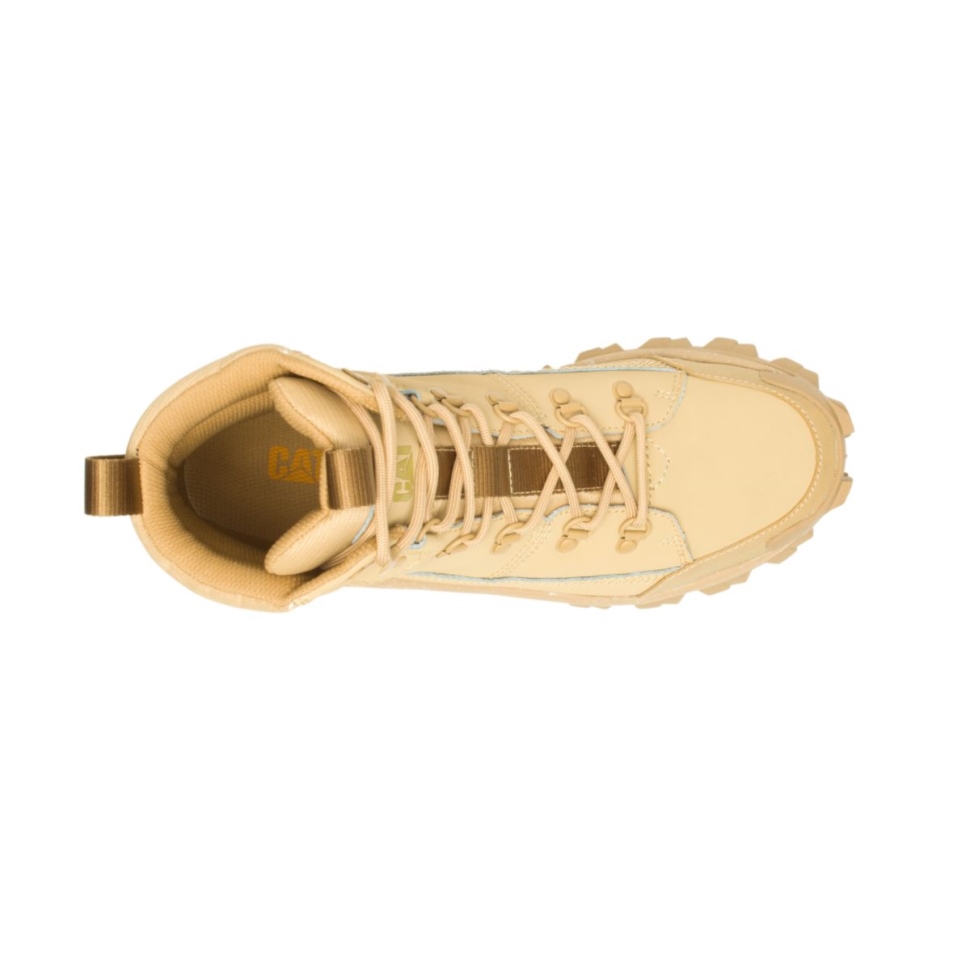 Chaussures De Chat Botte Curry Trespass
