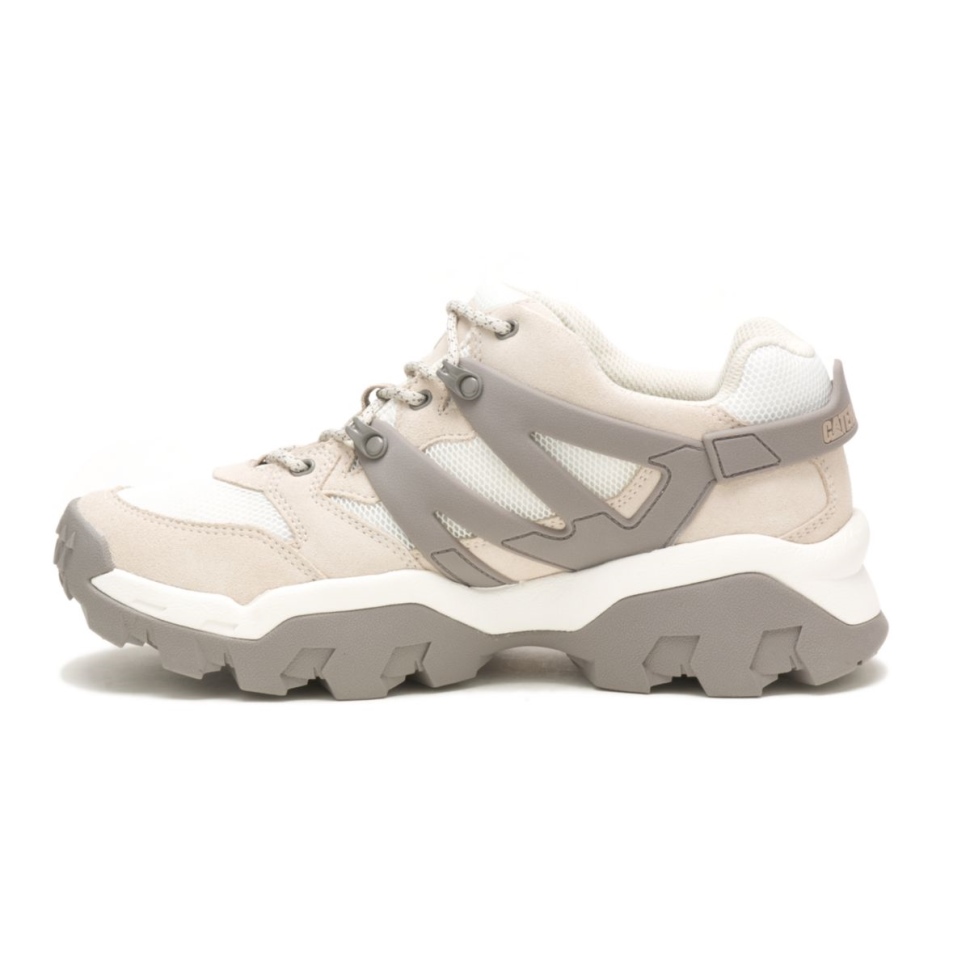 Chaussures De Chat Bouleau-blanc Brillant Baskets Réacteur