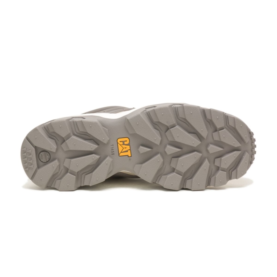Chaussures De Chat Bouleau-blanc Brillant Baskets Réacteur