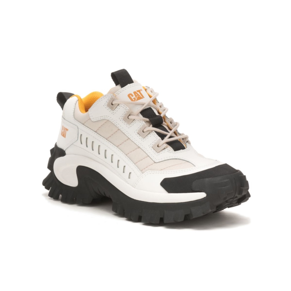 Chaussures De Chat Chaussures D\intrus De Bouleau Blanc Brillant