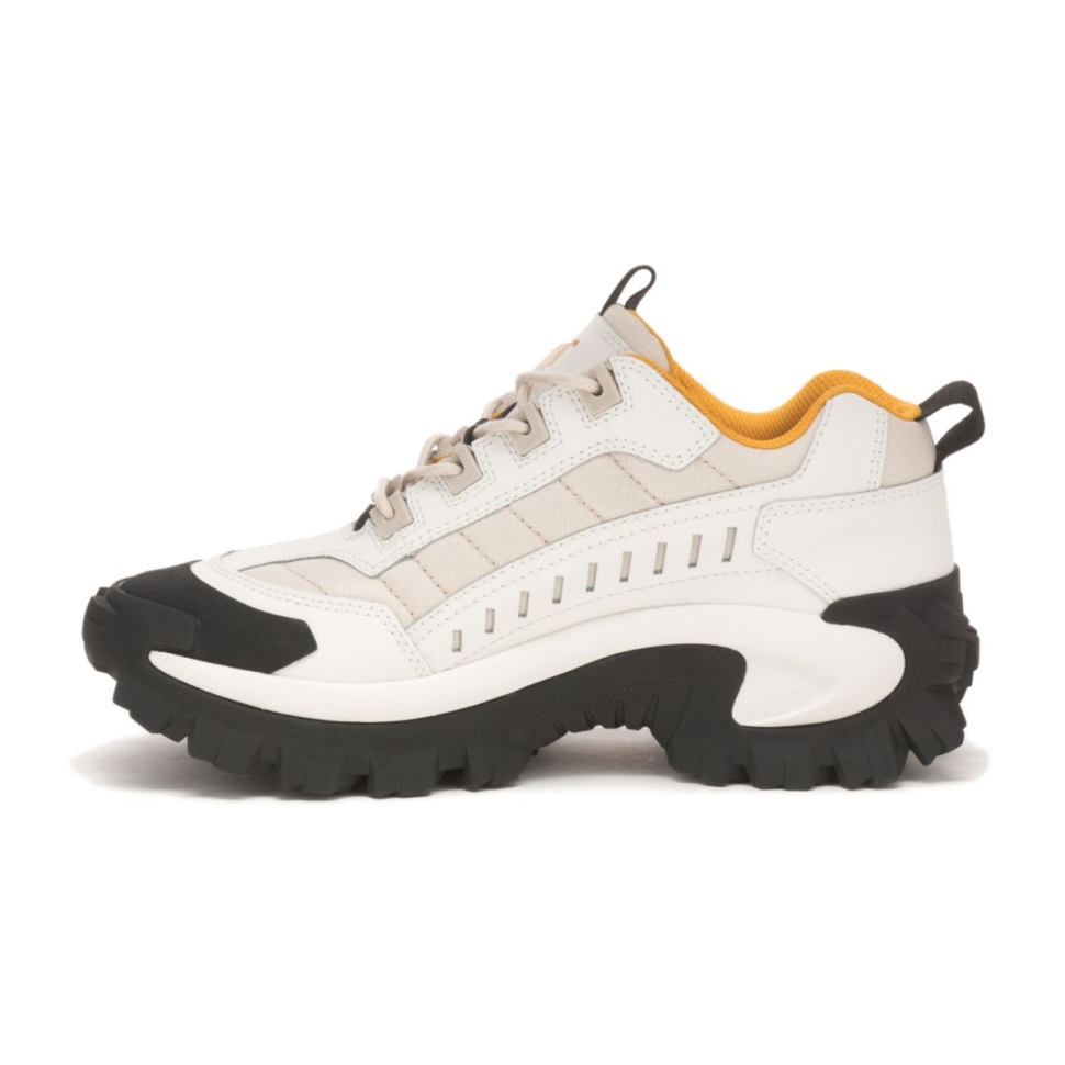 Chaussures De Chat Chaussures D\intrus De Bouleau Blanc Brillant