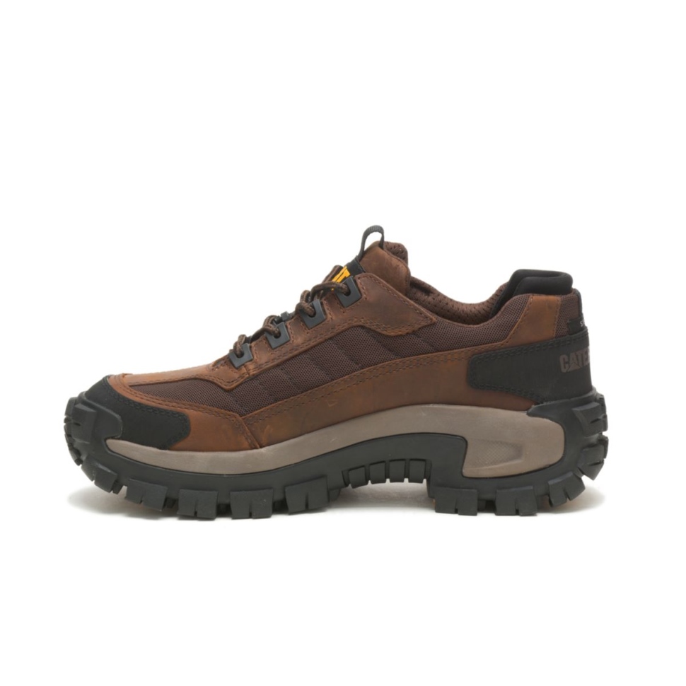 Chaussures De Chat Marron Foncé Chaussures De Travail à Embout D\acier Pour Hommes