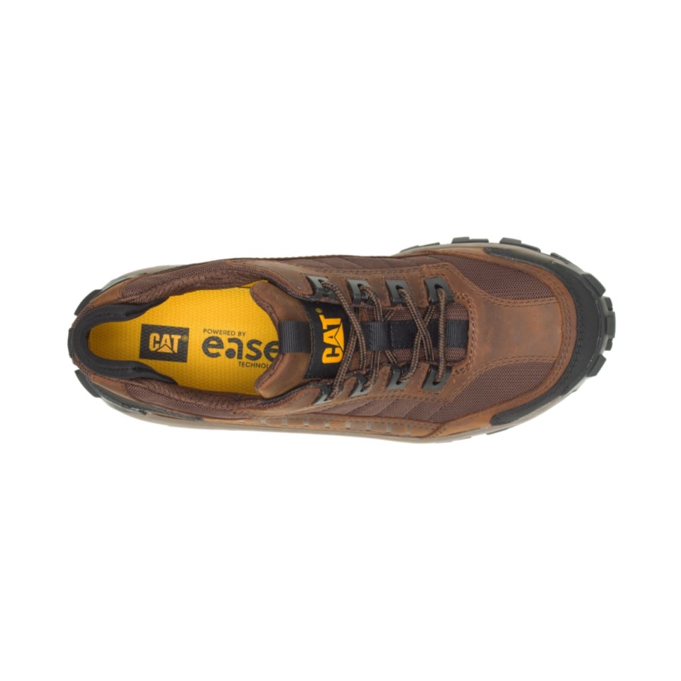Chaussures De Chat Marron Foncé Chaussures De Travail à Embout D\acier Pour Hommes
