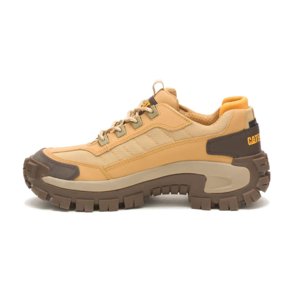 Chaussures De Chat Taffy Pour Hommes Envahisseur Chaussures De Travail à Bout En Acier