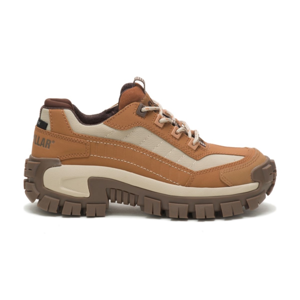 Chaussures De Travail Pour Femmes à Bout En Acier Brun Sucre-bronzage Envahisseur Chaussures De Chat