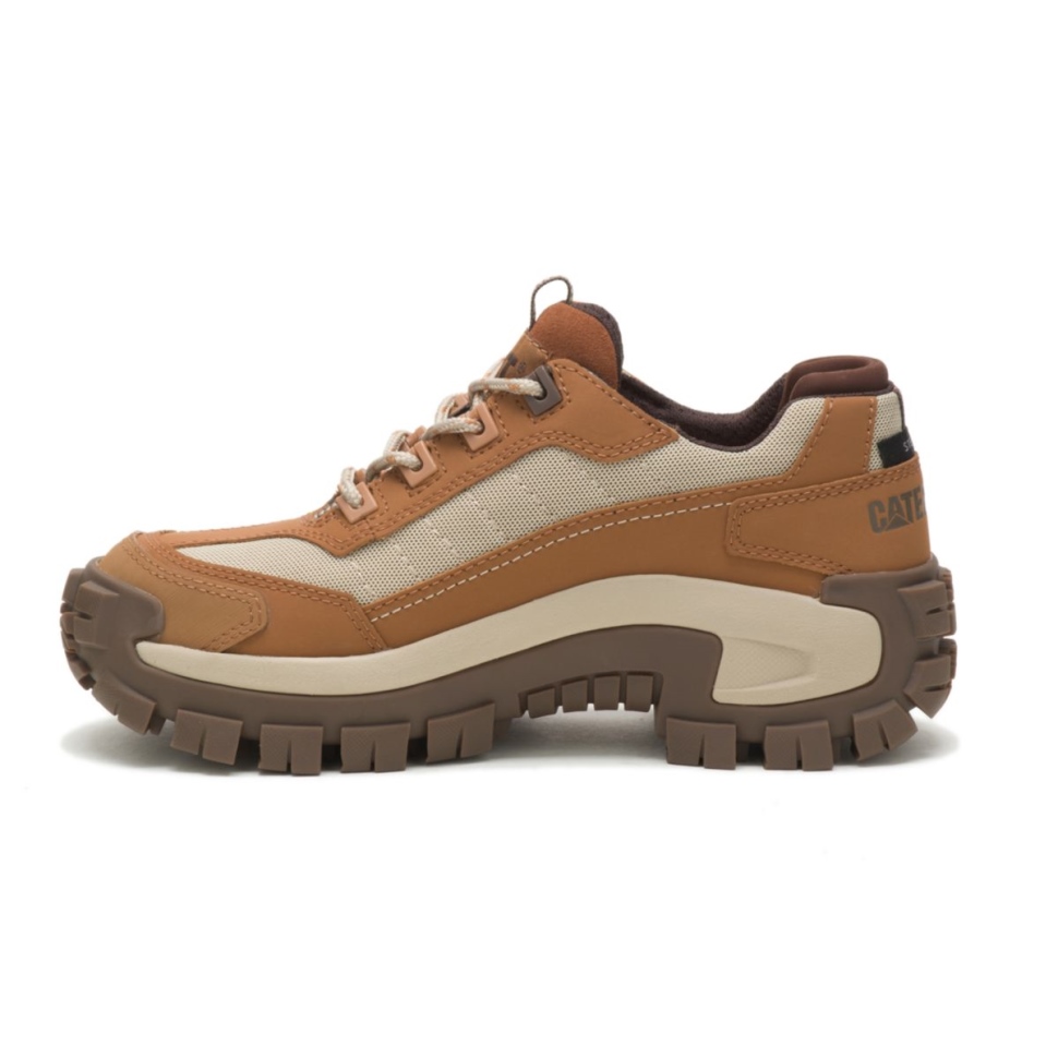 Chaussures De Travail Pour Femmes à Bout En Acier Brun Sucre-bronzage Envahisseur Chaussures De Chat