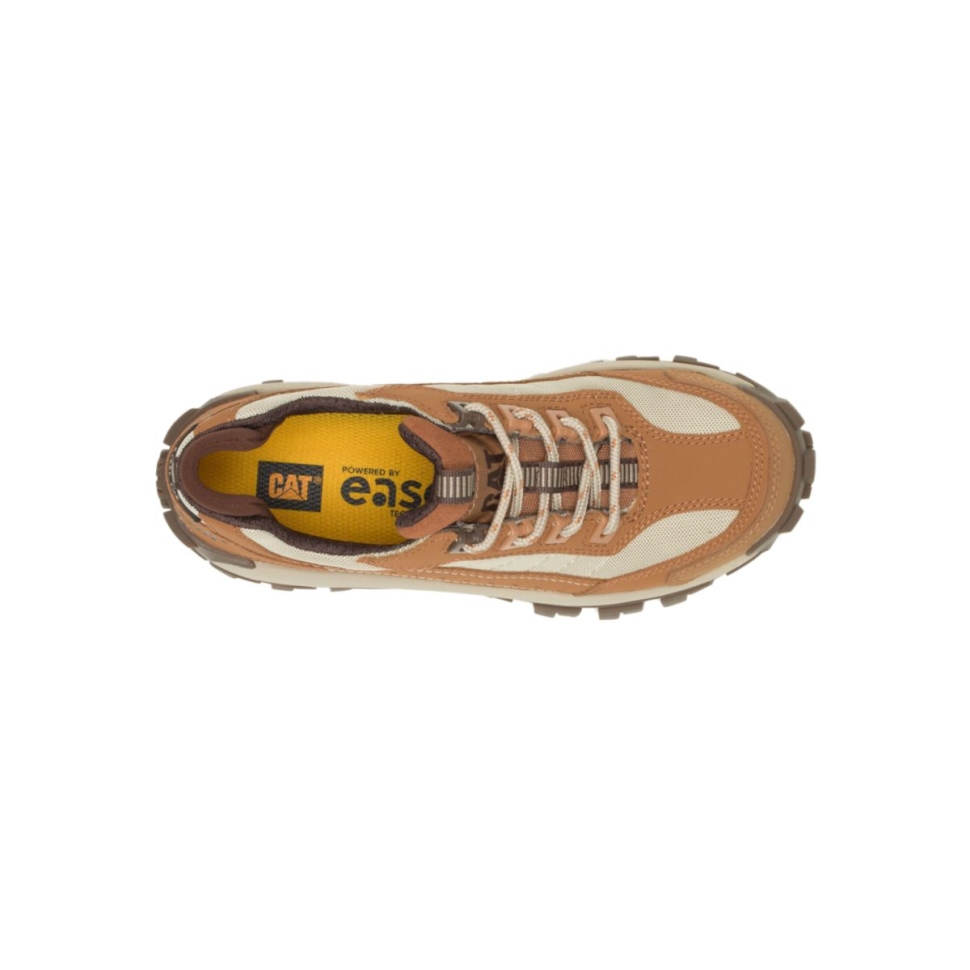 Chaussures De Travail Pour Femmes à Bout En Acier Brun Sucre-bronzage Envahisseur Chaussures De Chat