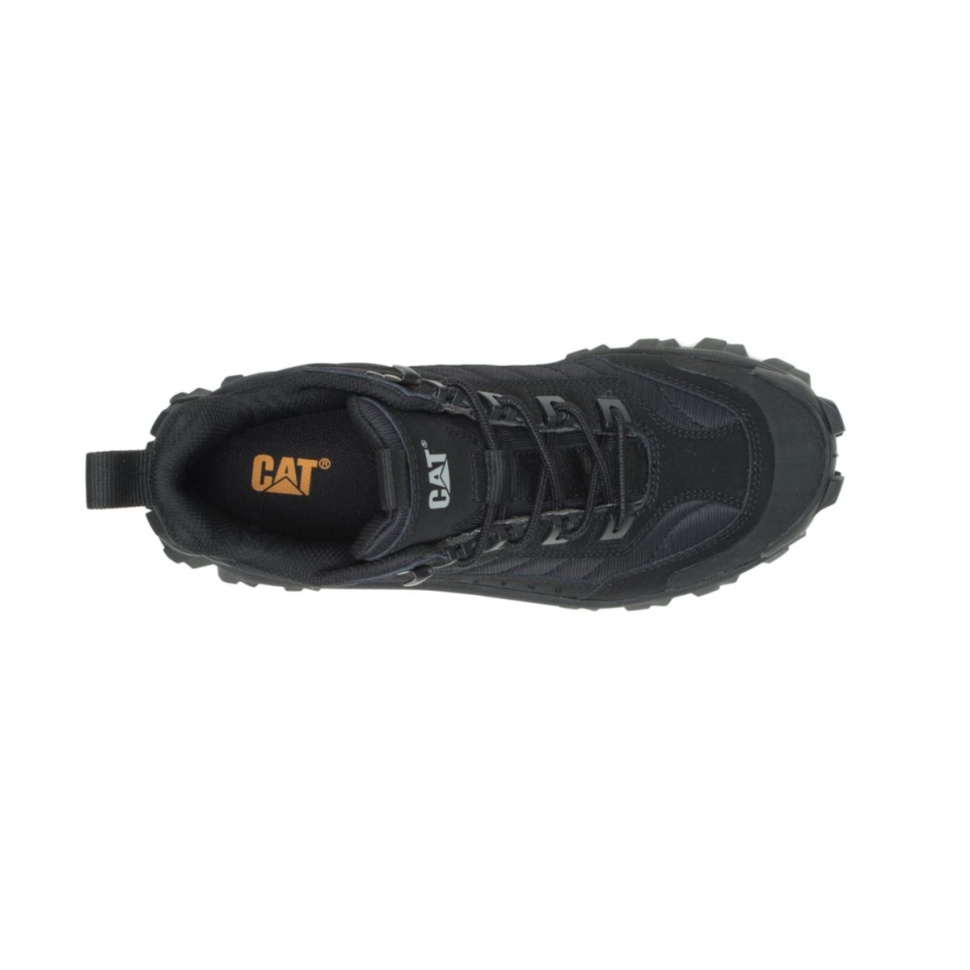 Intruder Noir Mi Chaussure Chaussures De Chat