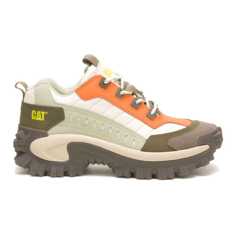 Moss Grey-oriole Intruder Chaussure Chat Chaussures