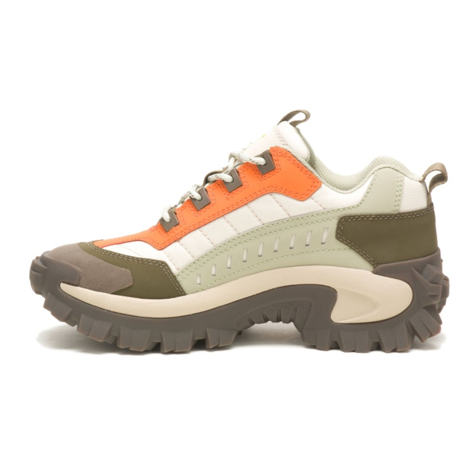 Moss Grey-oriole Intruder Chaussure Chat Chaussures