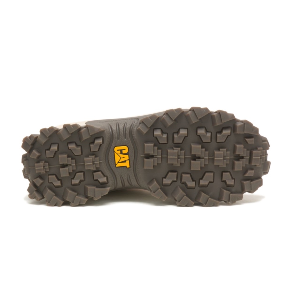 Moss Grey-oriole Intruder Chaussure Chat Chaussures