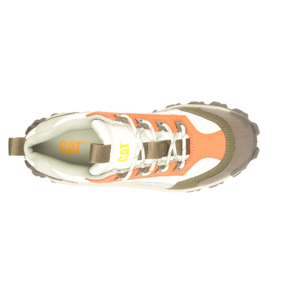 Moss Grey-oriole Intruder Chaussure Chat Chaussures
